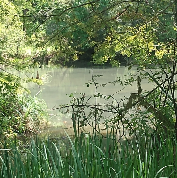 myersmadness run by mendysmadness - Picture 3 of 4